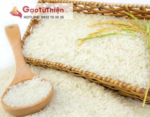Gạo Từ Thiện