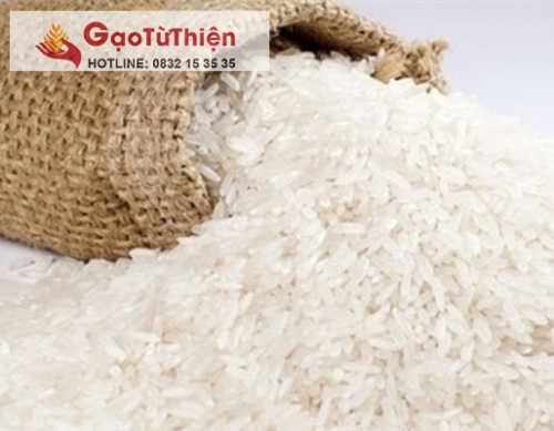 Gạo Trường Học - Công Ty