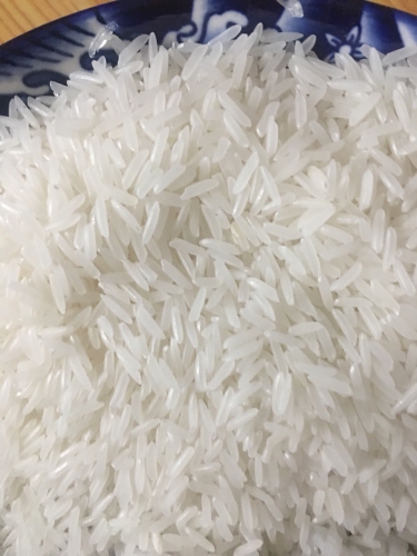Gạo